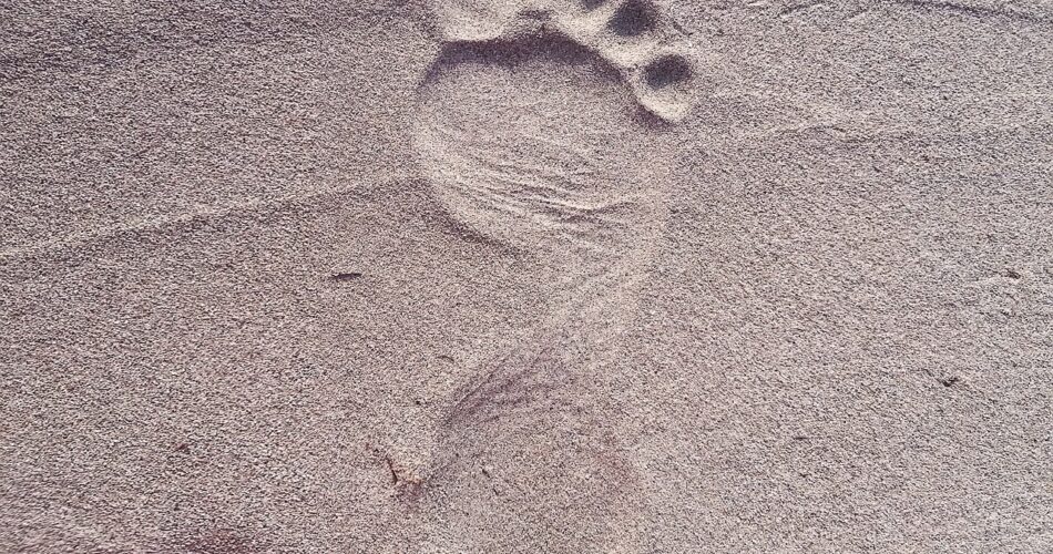 footprint, foot, sand-2624609.jpg